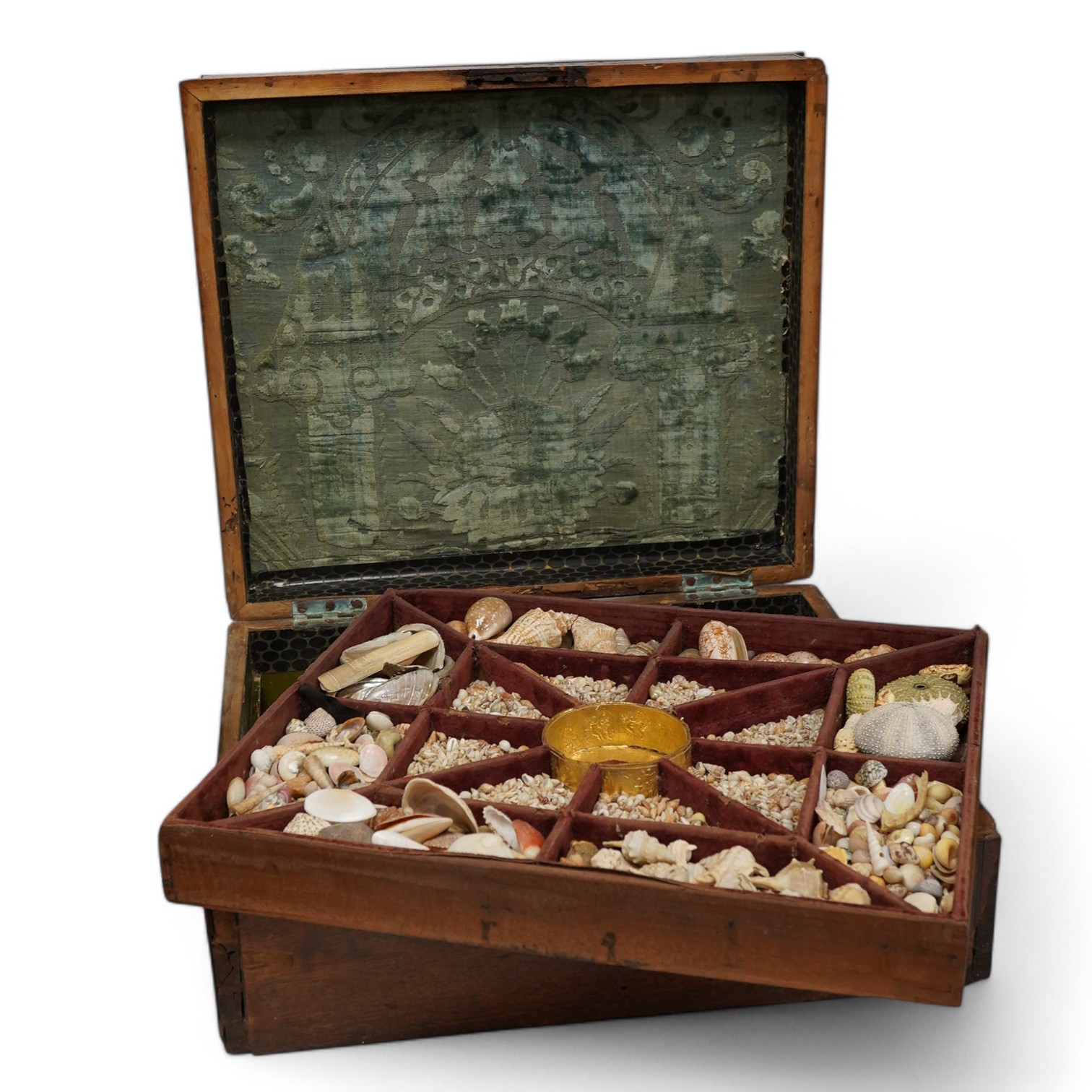 A rare 19th century mariner's box of shells, the mahogany box with cross banding and marquetry lid in the form of a compass, containing a collection of shells and mineral samples on two layers, with lift out tray, dimens